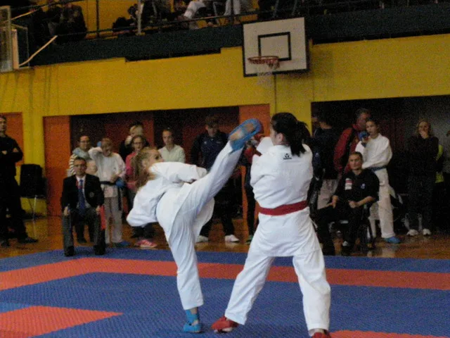Falco Cup — 21.11.2015