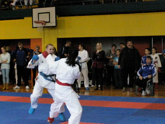 Falco Cup — 21.11.2015