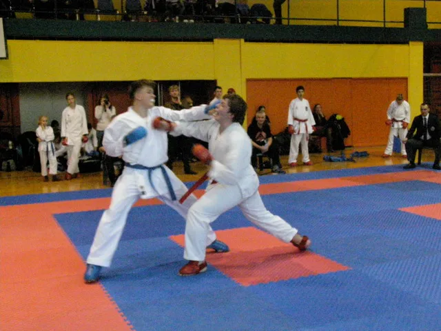 Falco Cup — 21.11.2015