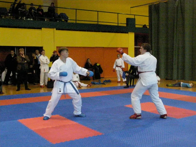 Falco Cup — 21.11.2015