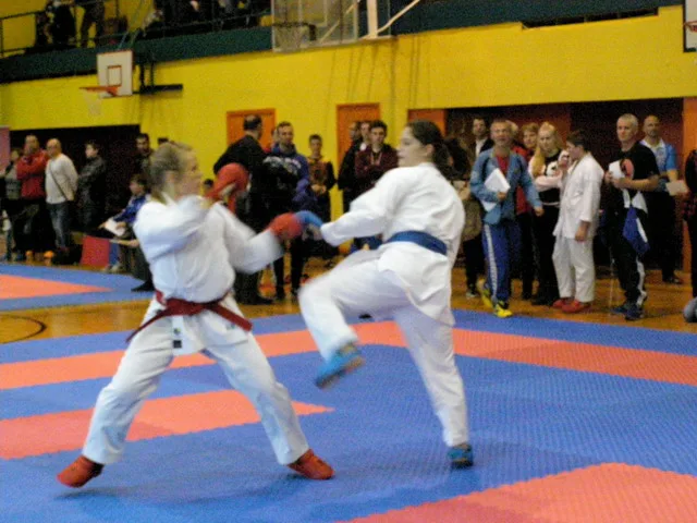 Falco Cup — 21.11.2015