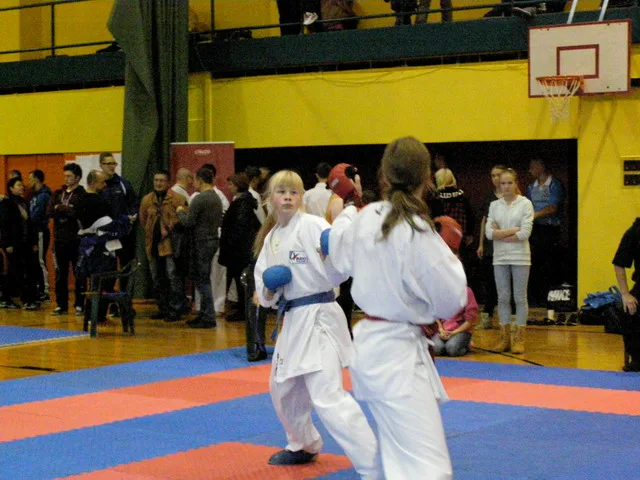 Falco Cup — 21.11.2015