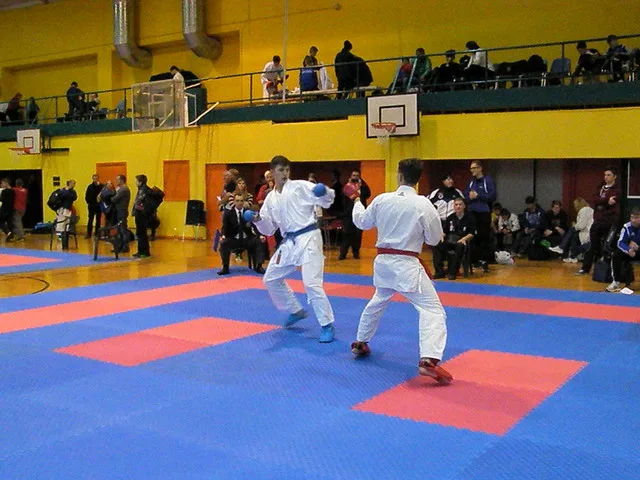Falco Cup — 21.11.2015