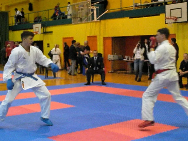 Falco Cup — 21.11.2015