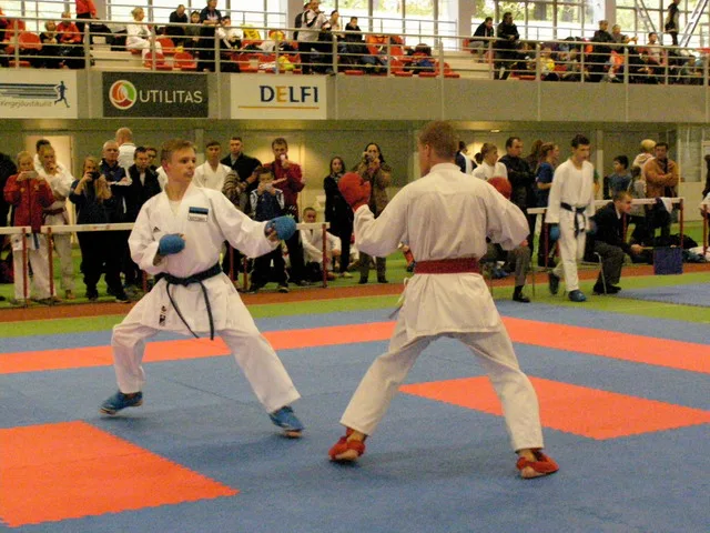 Tallinn Open — 10.10.2015