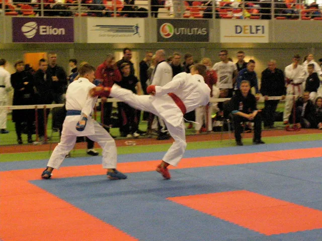 Tallinn Open — 10.10.2015