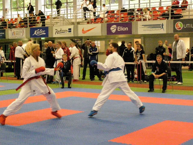 Tallinn Open — 10.10.2015