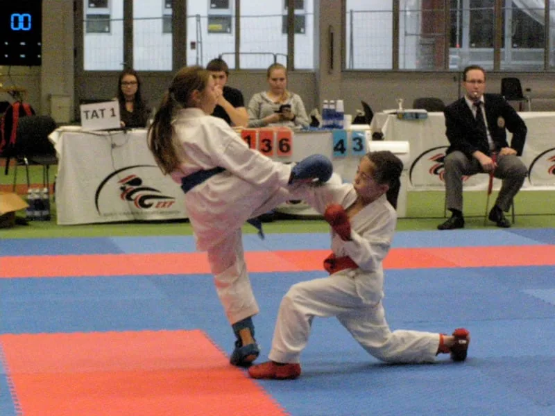 EDU-DO CUP 2017