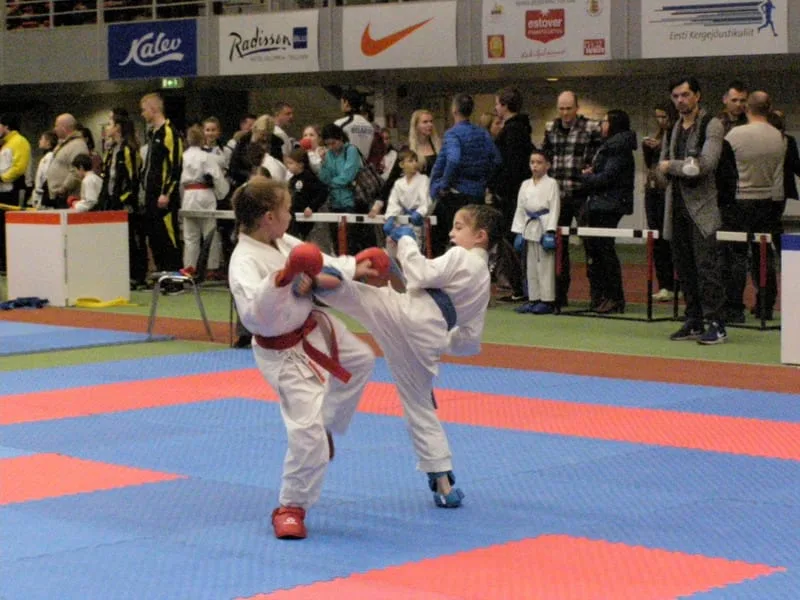 EDU-DO CUP 2017