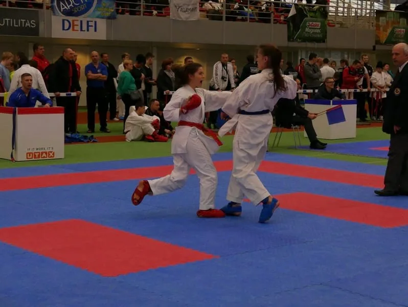 Tallinna Buldog 2017