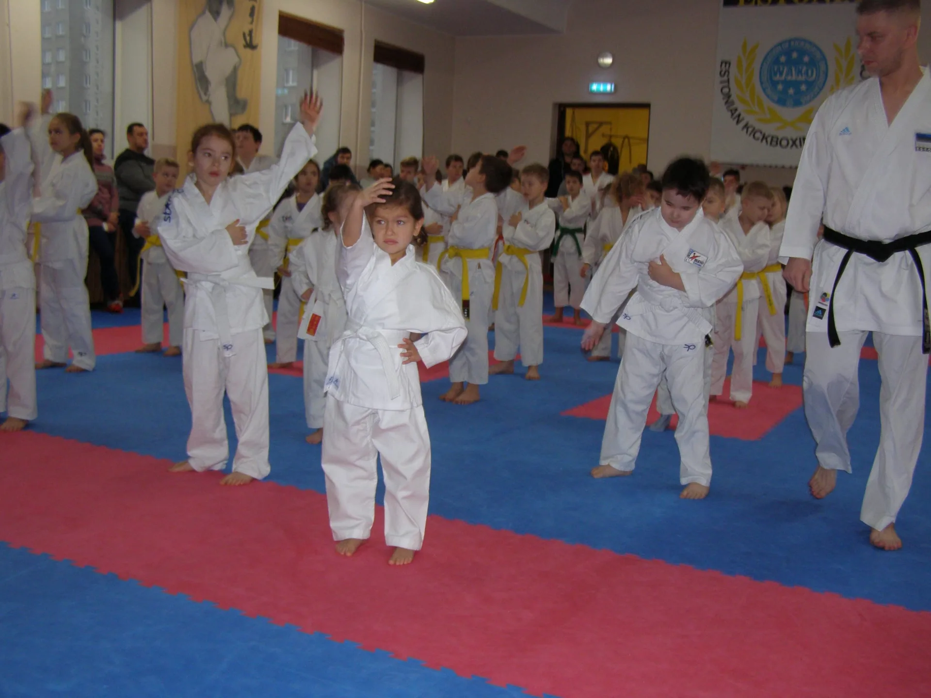 Экзамен на пояса в SK BUDO — 14 декабря 2019