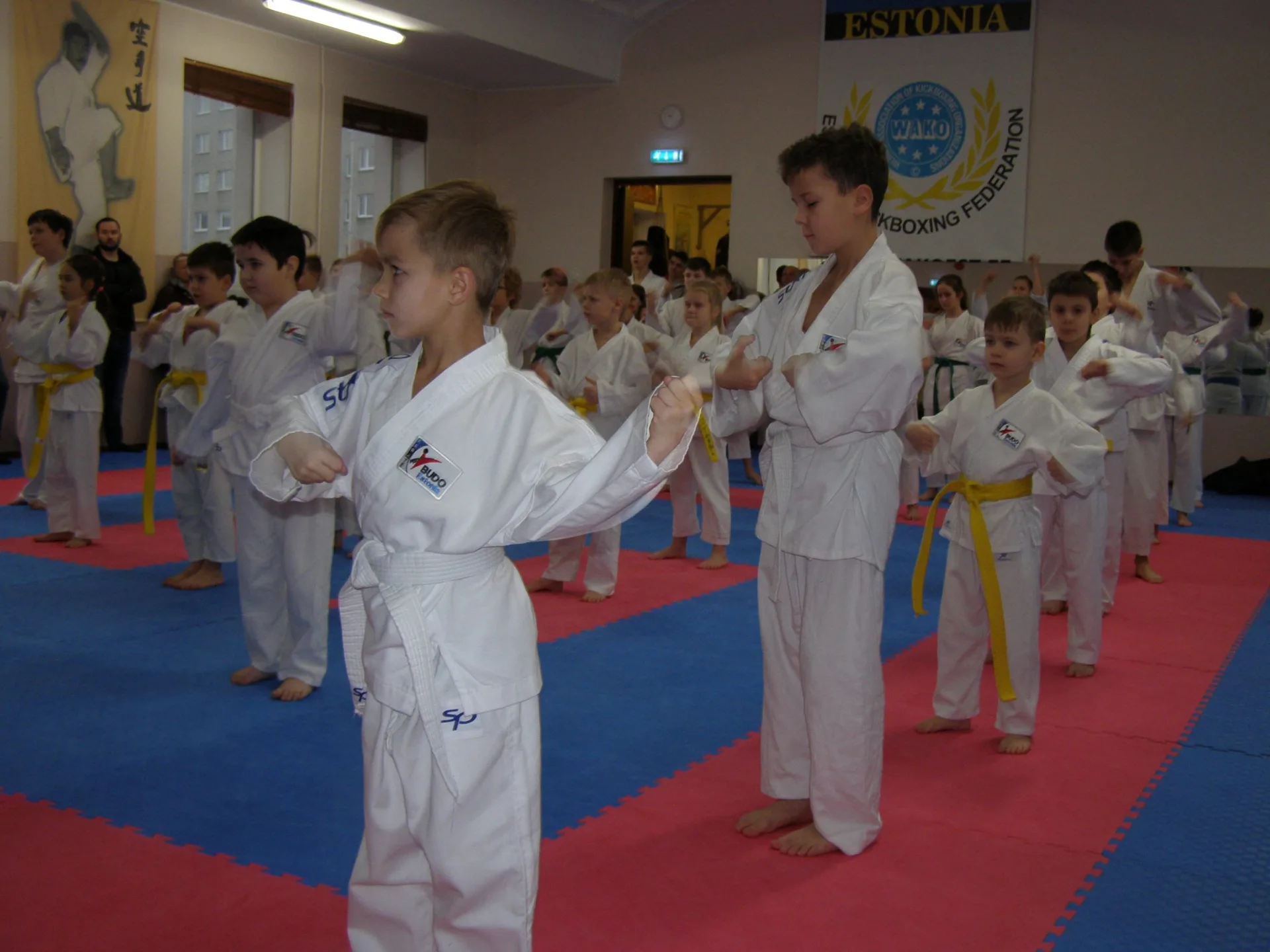 Экзамен на пояса в SK BUDO — 14 декабря 2019