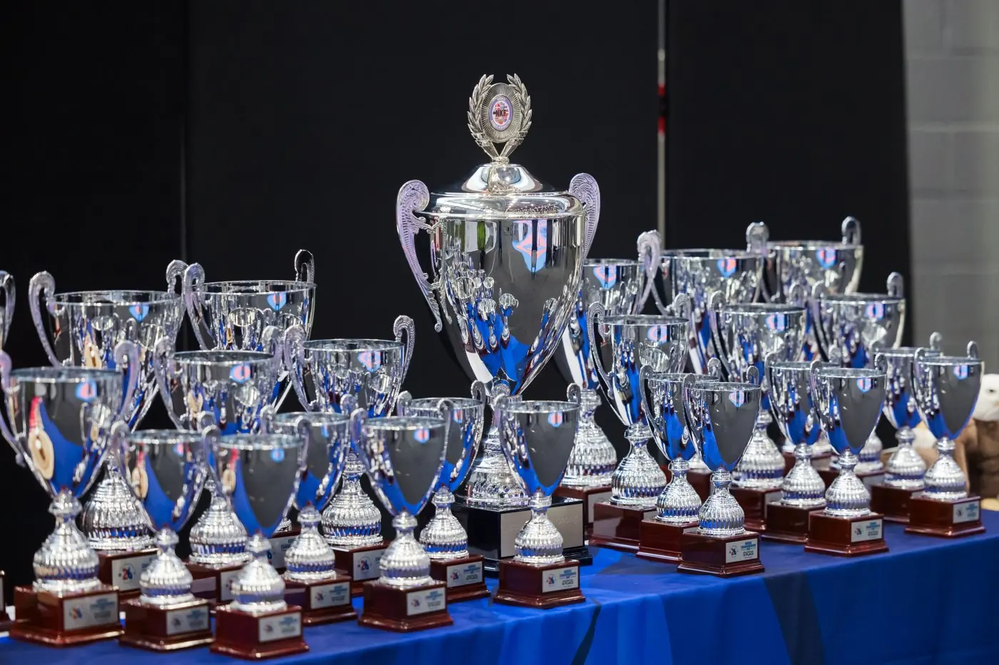 Nordic Karate Championships 2026 — photo 32