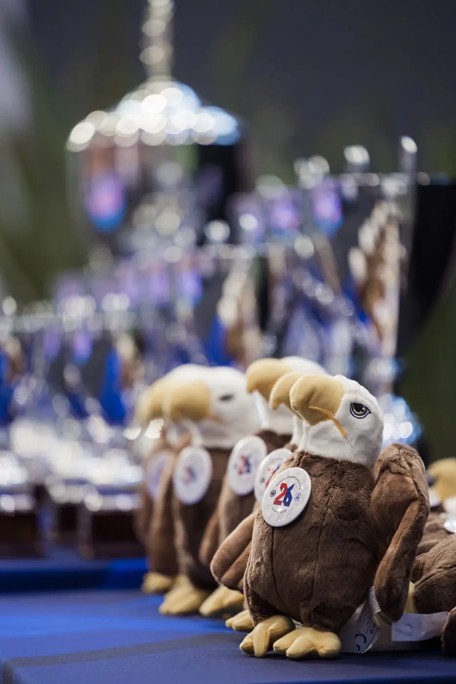 Nordic Karate Championships 2026 — photo 33