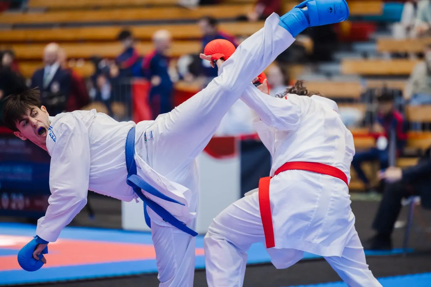 Nordic Karate Championships 2026 — photo 41
