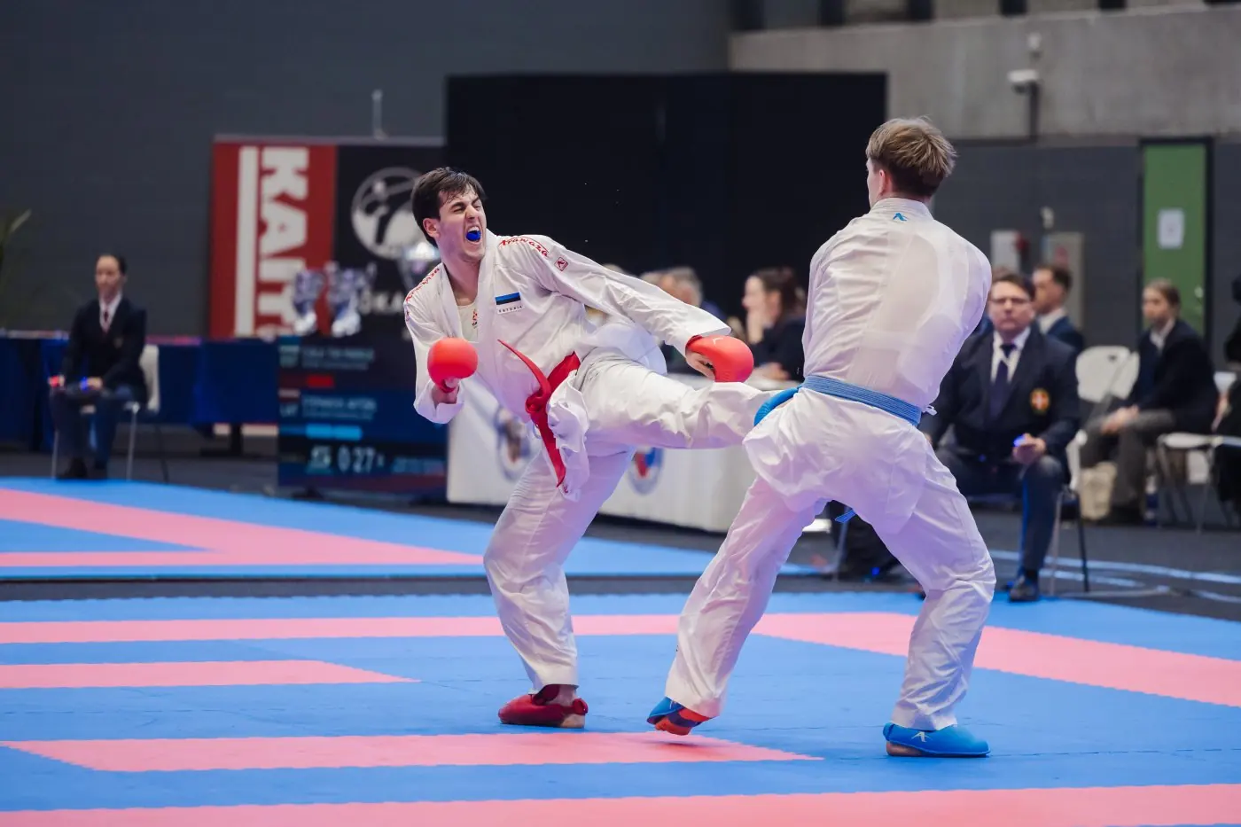 Nordic Karate Championships 2026 — photo 43