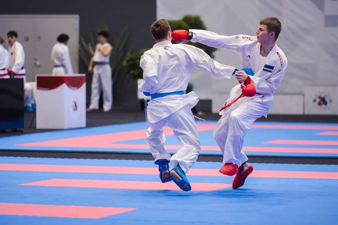 Nordic Karate Championships 2026 — photo 53