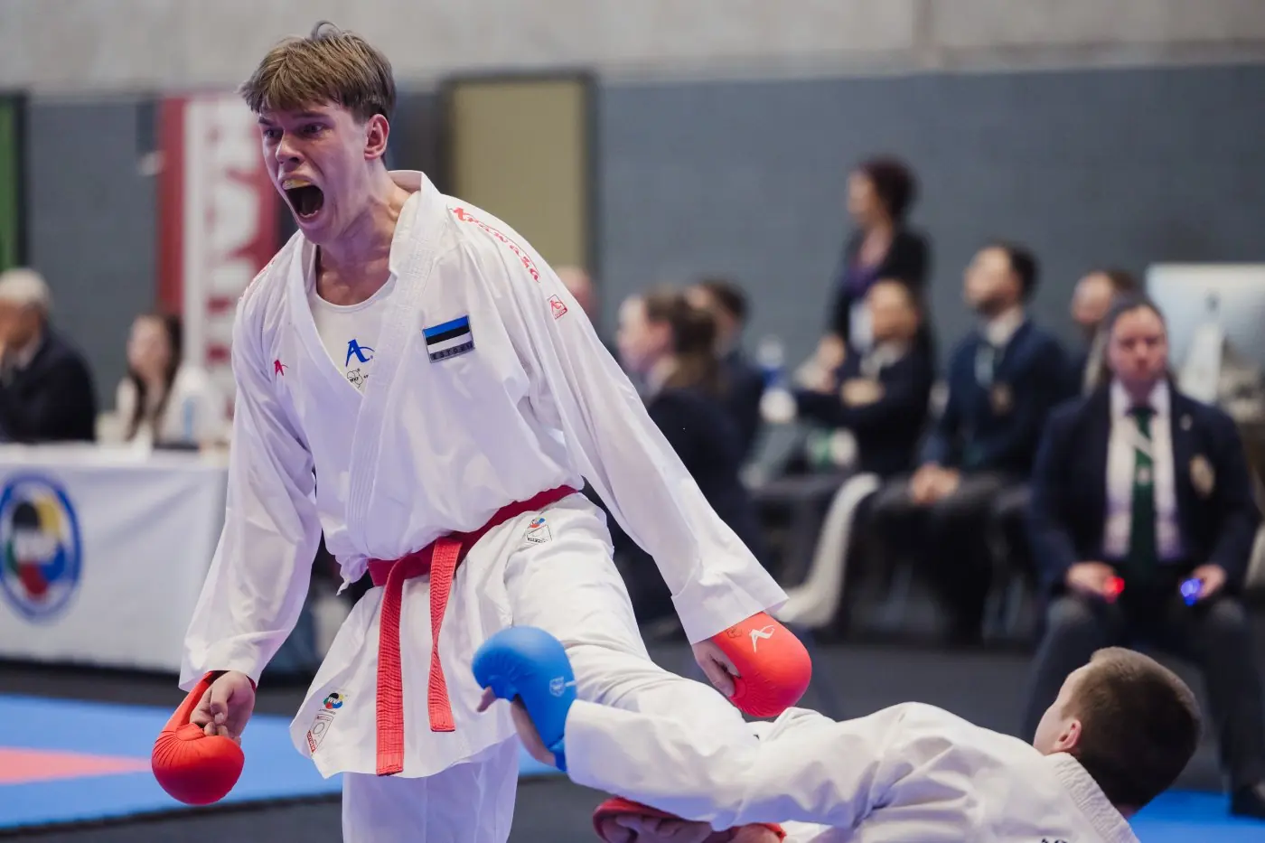 Nordic Karate Championships 2026 — photo 52